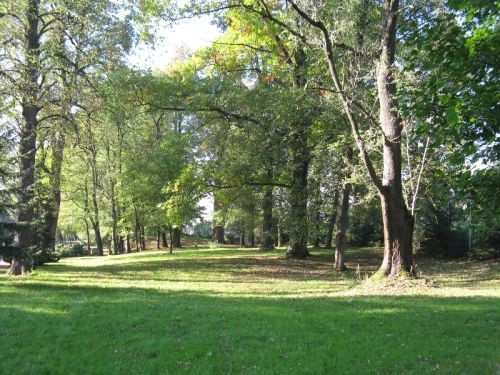 park z&nbsp;drzewami